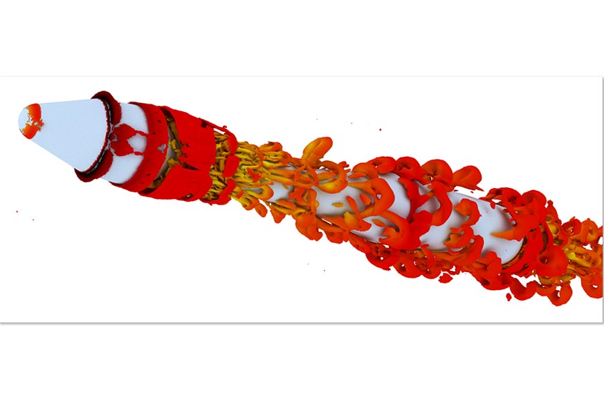 Section Image